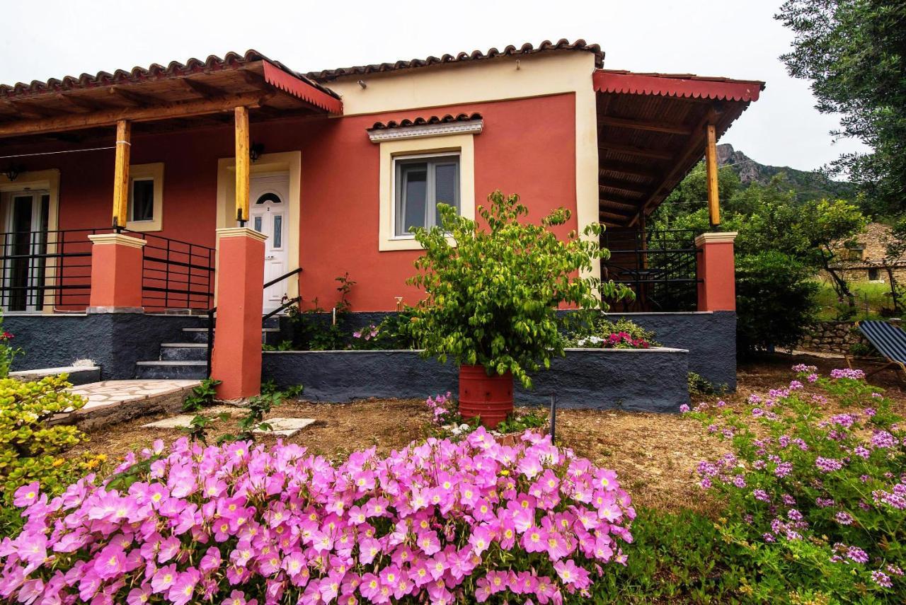 Apartment Bozikis *